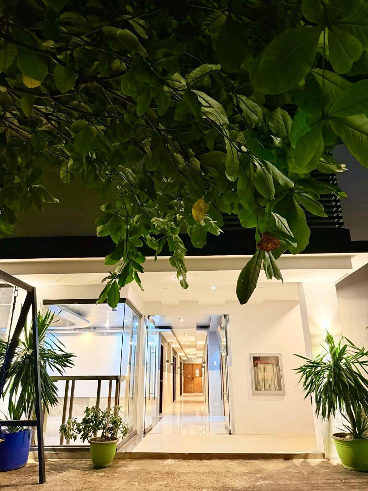 Goofy Ants Hostel 푸에르토프린세사 외부 사진
